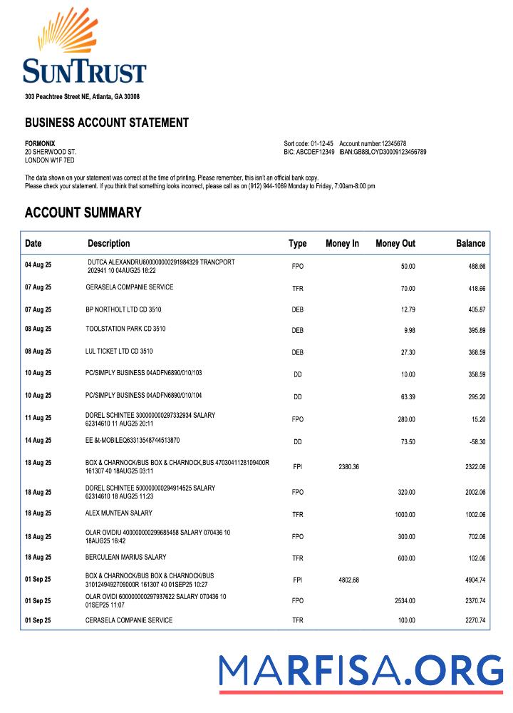 Realistic USA Georgian Sun Trust enterprise account statement Word and PDF template